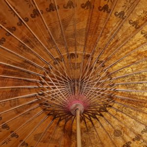 Vintage Regenschirm Test